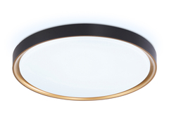 Потолочный светодиодный светильник FZ1249 BK/GD черный/золото IP54 45W 5000K D480*60 (Без ПДУ)