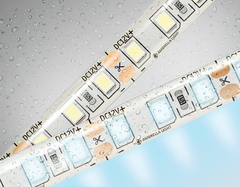 Светодиодная лента GS1203 2835 120Led/ 9.6W m/ 12V IP65 6500K/ 5000*8*2.27mm/ кратность резки 25mm (2 конт.)