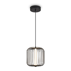 Подвесной светильник Sabi FR6131PL-L13B, LED. TM Maytoni