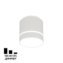 Citilux Борн CL745010N LED Светильник накладной Белый