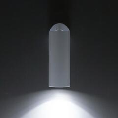 Citilux Тубус CL01B120N LED Светильник накладной поворотный Белый