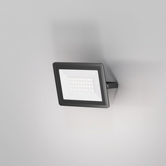Прожектор Flood 6500К 30Вт IP 65, FL001-L30B6K. TM Maytoni