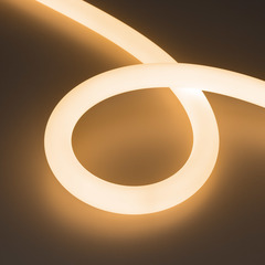 Светодиодная лента герметичная MOONLIGHT-SIDE-FP-X1088-D25mm 24V Warm2700 (20 W/m, IP65, 5m, wire x1) (Arlight, Вывод кабеля боковой)