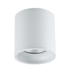 ST165.532.12 Светильник потолочный Белый LED 1*12W 3000K 840Lm Ra>90 36° IP44 D80xH85 85-265V