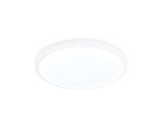 Потолочный светодиодный светильник FZ1230 WH белый IP44 22W 6400К D260*55 (Без ПДУ)