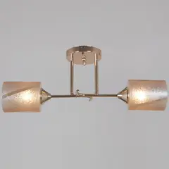 51460-0.3-02 FG светильник потолочный Reluce, E27х2