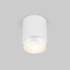Накладной светодиодный светильник Cors 25032/LED 10W 4200K белый