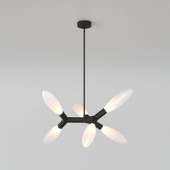 Потолочный светильник 30180/6 черный