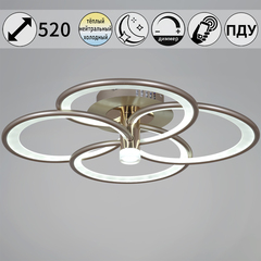 09246-0.3-4S Champaign silver светильник потолочный