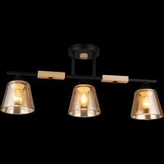 04601-0.3-03 светильник потолочный