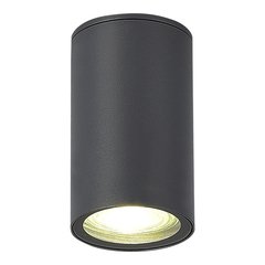 SL9010.712.01 Светильник уличный потолочный ST-Luce серый GU10 1*50W