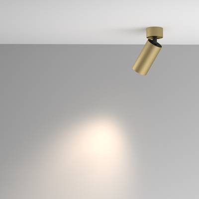 Потолочный светильник Artisan GU10х1, C082CL-01-GU10-MG. TM Maytoni