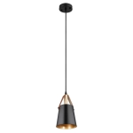 Подвесной светильник Arte Lamp THOMAS A7032SP-1BK, 1хE27