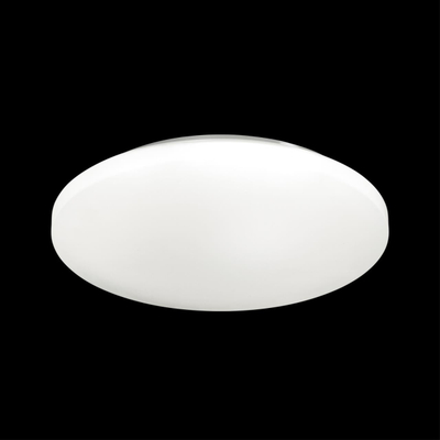 3017/DL PALE SN 218 Светильник пластик/белый LED 48Вт 4000K D400 IP43 SIMPLE