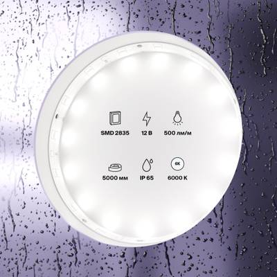 Светодиодная лента 12В 2835 4,8Вт/м 6000K 5м IP65, 10107. TM Maytoni