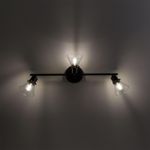 Citilux Трек Бисмарк CL564531 Спот с выключателем Венге