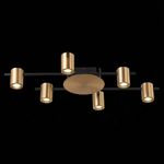 SL1207.402.06 Светильник потолочный ST-Luce Черный/Латунь GU10 6*7W