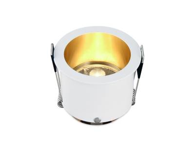 Встраиваемый точечный светильник TN211 WH/GD белый/золото GU5.3 D68*57