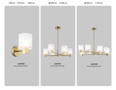 Светильник настенный LH57035 BS/SM латунь/дымчатый E14 max 40W 195*110*185