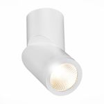 ST650.532.10 Светильник потолочный Белый LED 1*10W 3000K 800Lm Ra&gt;90 38° IP44 D60xH175 165-265V