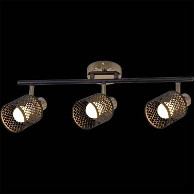 05900-0.8-03 BK+FGD светильник потолочный