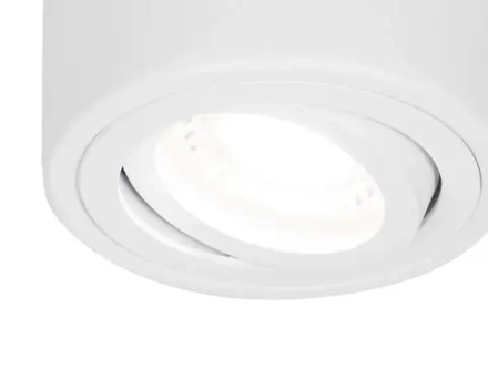 Накладной поворотный точечный светильник TN225 WH белый GU5.3 D80*100
