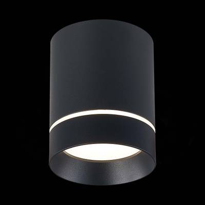 ST115.442.12 Светильник потолочный Черный LED 1*12W 4000K 840Lm Ra&gt;90 120° IP20 D79xH100 170-240V