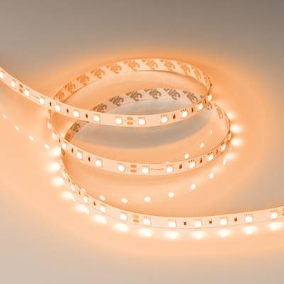 Светодиодная лента RT-B60-10mm 24V Orange (14.4 W/m, IP20, 5060, 5m) (Arlight, 14.4 Вт/м, IP20)