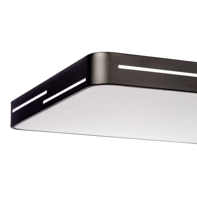 Citilux Купер Лайн CL724K95GL1 LED RGB Светильник с пультом Чёрный