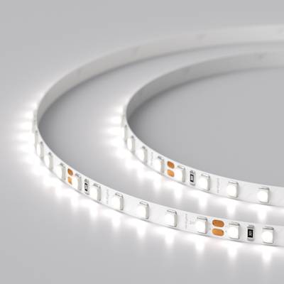 Светодиодная лента RT 2-5000 24V White6000 5mm 2x (3528, 600 LED, LUX) (Arlight, 9.6 Вт/м, IP20)