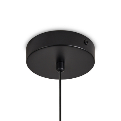 Подвесной светильник Acoustic FR5494PL-01TR, G9х1. TM Maytoni
