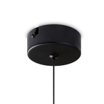 Подвесной светильник Ida FR6133PL-L4G, LED. TM Maytoni