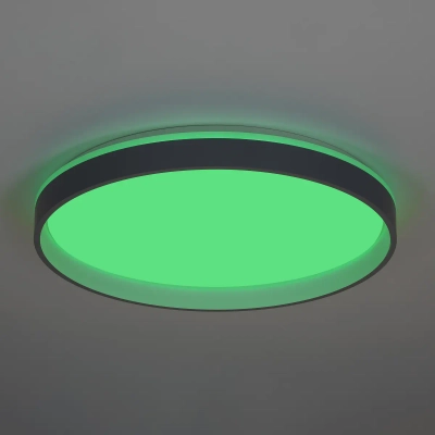 Citilux ENZO CL753513G LED RGB Светильник с пультом Серый + Белый