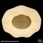 01029-0.3-01 WOOD светильник потолочный