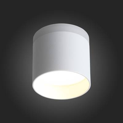 ST102.502.12 Светильник потолочный Белый LED 1*12W 3000K 936Lm Ra&gt;80 120° IP20 D100xH90 170-240V