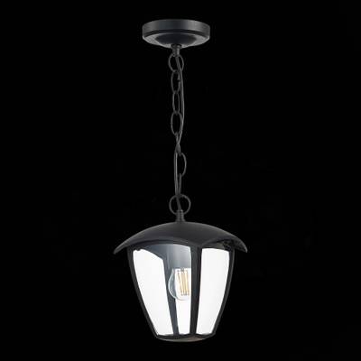 SL081.403.01 Светильник уличный подвесной ST-Luce Черный/Черный, Прозрачный E27 1*40W