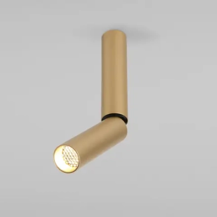 Накладной светодиодный светильник Pika 25029/LED 6W 4200K золото