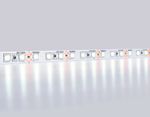 Светодиодная лента GS1203 2835 120Led/ 9.6W m/ 12V IP65 6500K/ 5000*8*2.27mm/ кратность резки 25mm (2 конт.)