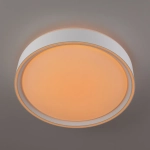 Citilux BOSS CL751250G LED RGB Светильник с пультом Белый