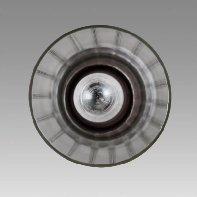 8102/1A COMFI LN26 408 хром/прозрачный металл/металл Подвес Е14 1*40W 220V ISHA