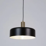 Подвесной светильник Arte Lamp SKAT A7052SP-1BK, 1хE27