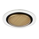 7731/80L MITRA LED SN Светильник металл/акрил/белый/под дерево/прозрачный/черный LED 80Вт 3000-6000К D480 IP20 пульт ДУ SUNNY