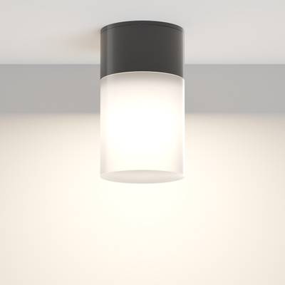 Потолочный светильник Willis O418CL-01B. ТМ Maytoni