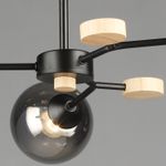 06780-0.3-03 BK+WOOD светильник потолочный