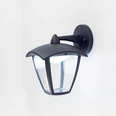 Citilux CLU04W2 LED Уличный настенный светильник Чёрный
