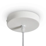 Подвесной светильник FR5555PL-01W, FR5555PL-01W. TM Maytoni