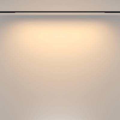 Трековый светильник Basis Basity 24Вт 120°, TR173-1-24WTW-B. TM Maytoni