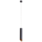 Точечный подвесной светильник Arte Lamp PILON-GOLD A1536SP-1BK, 1хGU10