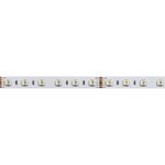 Светодиодная лента RT-B60-12mm 24V RGBW-White-4-in-1 (19.2 W/m, IP20, 5060, 5m) (Arlight, Открытый)