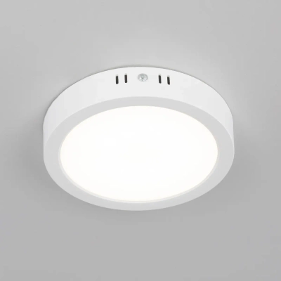 Citilux Галс CL5516N Светильник накладной светодиодный